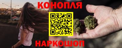 прущие грибы Северобайкальск