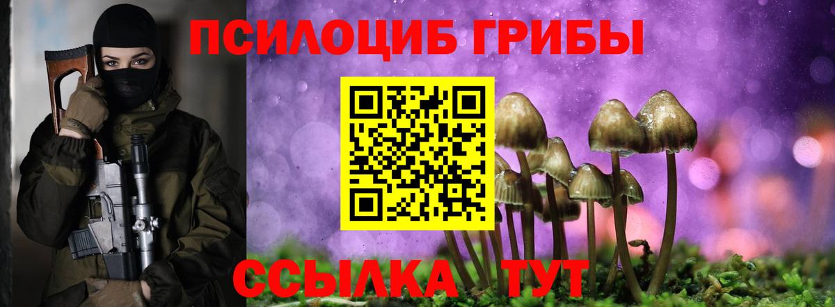 Галлюциногенные грибы GOLDEN TEACHER  Галлюциногенные грибы ЛСД  Вход с VPN  где продают наркотики  Реж 